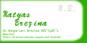 matyas brezina business card